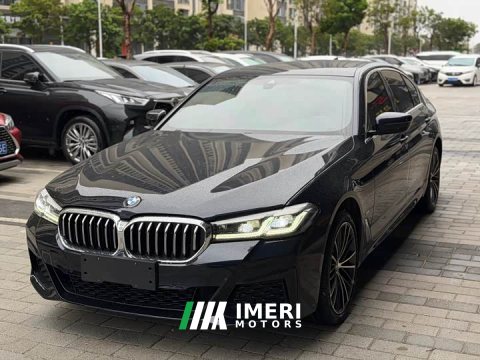 2023 BMW 5 Series 530Li Premier M Sport Package - ავტომობილი ჩინეთიდან