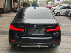 BMW 5 Series 530Li Premier M Sport Package - ფოტო 8
