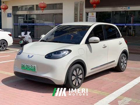 2025 Wuling Binguo 333km Joy Edition - car from China