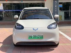 Wuling Binguo 333km Joy Edition - ფოტო 2