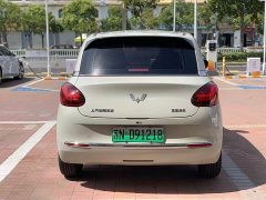 Wuling Binguo 333km Joy Edition - ფოტო 8