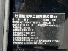 Denza BYD Denza D9 DM-i 1050 Premium - ფოტო 20