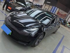 Tesla Model 3 Rear-Wheel Drive - ფოტო 1