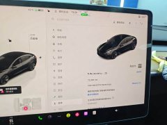 Tesla Model 3 Rear-Wheel Drive - ფოტო 6
