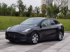 Tesla Model Y Long Range All-Wheel Drive - ფოტო 1
