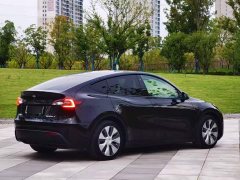 Tesla Model Y Long Range All-Wheel Drive - ფოტო 2