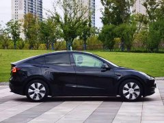 Tesla Model Y Long Range All-Wheel Drive - ფოტო 3