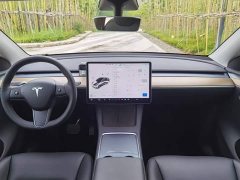Tesla Model Y Long Range All-Wheel Drive - ფოტო 6