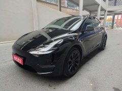 Tesla Model Y Standard Range RWD - ფოტო 1