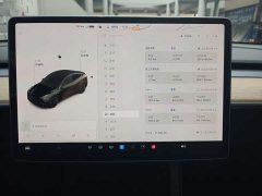Tesla Model Y Standard Range RWD - ფოტო 11