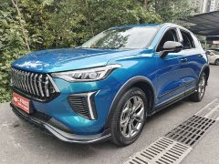 Haval Chitu Jingxiang Edition 1.5T Purple Copper Rabbit - ფოტო 1