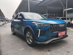 Haval Chitu Jingxiang Edition 1.5T Purple Copper Rabbit - ფოტო 3