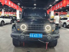 Tesla 212 T01 2.0T Long Wind - ფოტო 2