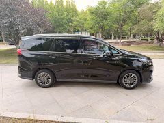 SAIC Maxus EUNIQ 5 2020 1.3T Plug-in Hybrid Premium Edition - ფოტო 13