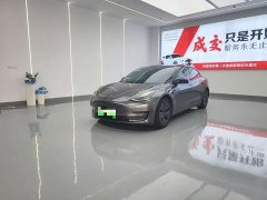 Tesla Model 3 Standard Range RWD Upgrade - ფოტო 1