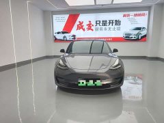 Tesla Model 3 Standard Range RWD Upgrade - ფოტო 2
