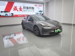 Tesla Model 3 Standard Range RWD Upgrade - ფოტო 3