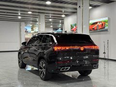 Volkswagen Lavida Plus 380TSI AWD R-Line Pilgrimage Edition - ფოტო 18