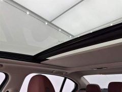 BMW 3 Series 320Li M Sport Package - ფოტო 13