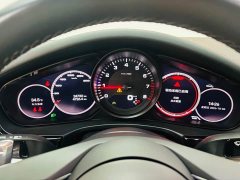Porsche Panamera 2.9T - ფოტო 16