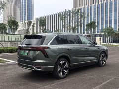 Great Wall WEY Blue Mountain Four-Wheel Drive Ultra - ფოტო 4