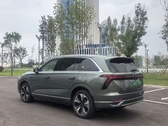 Great Wall WEY Blue Mountain Four-Wheel Drive Ultra - ფოტო 6