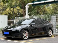 Tesla Model Y 2022 Rear-Wheel Drive - ფოტო 1