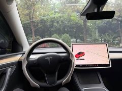 Tesla Model Y 2022 Rear-Wheel Drive - ფოტო 12