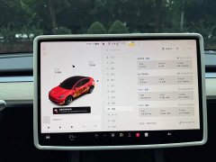 Tesla Model Y 2022 Rear-Wheel Drive - ფოტო 13