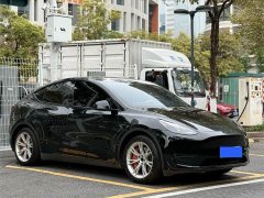 Tesla Model Y 2022 Rear-Wheel Drive - ფოტო 3