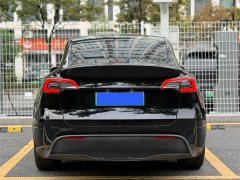Tesla Model Y 2022 Rear-Wheel Drive - ფოტო 4