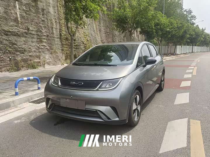 BYD Dolphin 420km Freedom Edition