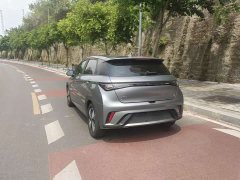 BYD Dolphin 2023 420km Freedom Edition - ფოტო 13