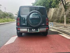 Haval Manlong New Energy Hi4 145 Adventure Edition - ფოტო 8