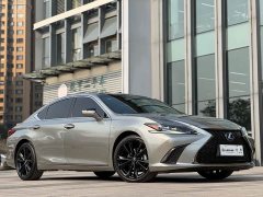 Lexus ES 2021 300h F SPORT - ფოტო 3