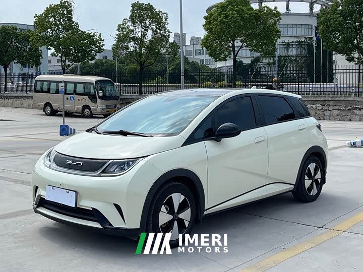 BYD Dolphin 420km Fashion Edition - ავტომობილი ჩინეთიდან
