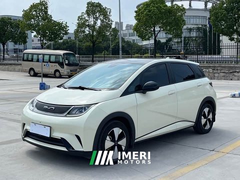 2023 BYD Dolphin 420km Fashion Edition - ავტომობილი ჩინეთიდან
