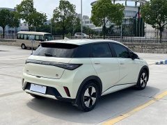 BYD Dolphin 420km Fashion Edition - ფოტო 15