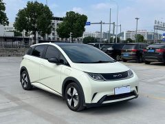 BYD Dolphin 420km Fashion Edition - ფოტო 3