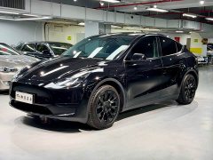 Tesla Model Y Facelift Rear-Wheel Drive - ფოტო 1