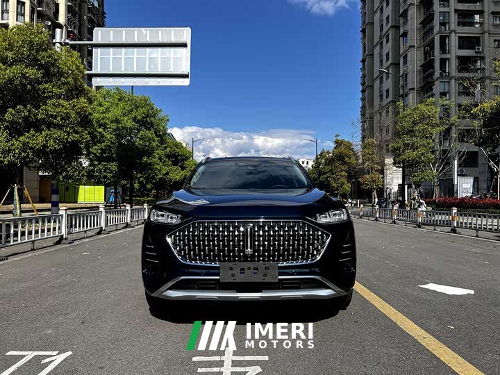 Great Wall Wei Brand Mocha 2021 2.0T Two-Wheel Drive Rich Edition - ავტომობილი ჩინეთიდან