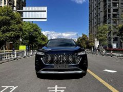 Great Wall Wei Brand Mocha 2021 2.0T Two-Wheel Drive Rich Edition - ფოტო 1