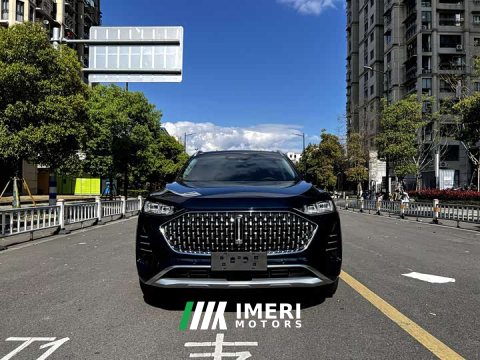 2022 Great Wall Wei Brand Mocha 2.0T Two-Wheel Drive Rich Edition - ავტომობილი ჩინეთიდან