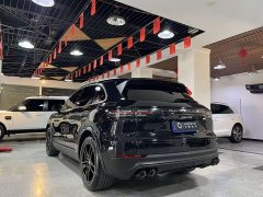 Porsche Cayenne 3.0T Platinum Edition - ფოტო 14