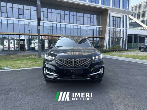 2021 WEY VV6 2.0T Two-Wheel Drive Smart Protection