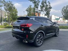 Great Wall WEY VV6 2.0T Two-Wheel Drive Smart Protection - ფოტო 13