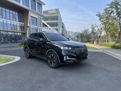 Great Wall WEY VV6 2.0T Two-Wheel Drive Smart Protection - ფოტო 2