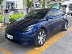 Tesla Model Y Long Range All-Wheel Drive - ფოტო 1