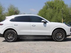 Porsche 2019 Cayenne 3.0T - ფოტო 8