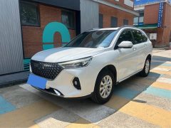 Haval M6 2024 PLUS 1.5T DCT Peanut Good Car Custom Edition - ფოტო 1